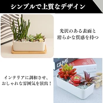 Amazon.co.jp: Quikaboo 植木鉢 陶器 サボテン 鉢 多肉植物鉢