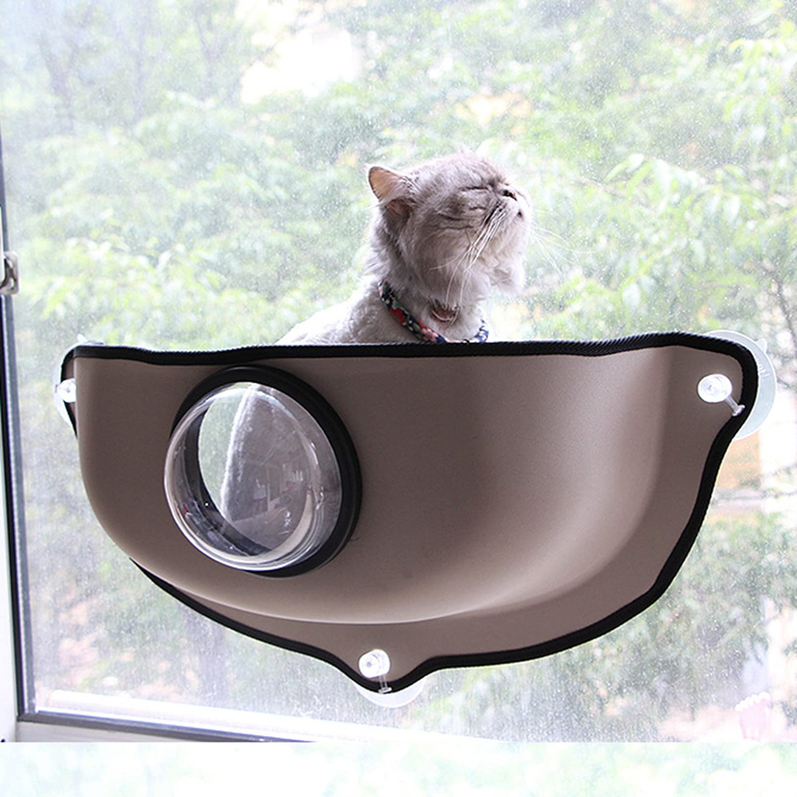 Amazon.co.jp: 猫窓用ハンモック 透明ドーム 猫ベッド キャット 