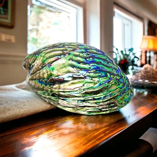 Miniatura 8 de ABCGEMS - Cuentas de concha de abulón de Nueva Zelanda con calidad de gema (nácar más grueso y matriz iridiscente mucho más oscura que el abulón