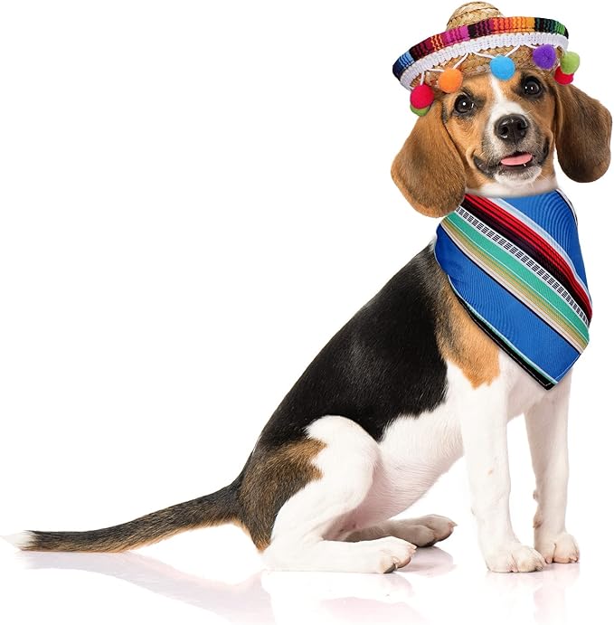 Disfraz Mexicano para Perro Bandana y Sombrero Fiesta Cinco de Mayo 4 Piezas miniatura 5