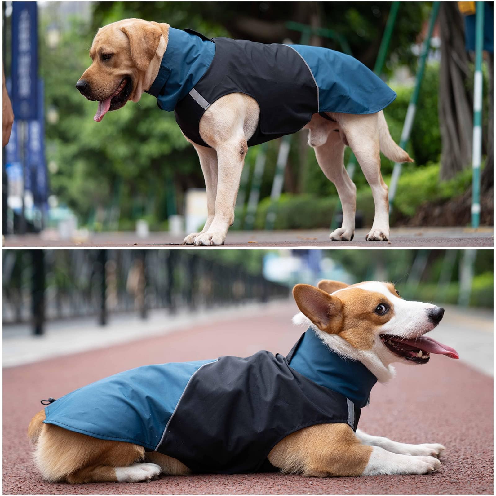 Abrigos cálidos para perro, resistentes al viento, chaquetas de invierno para exteriores, abrigos para clima frío para perro, impermeables con agujero para correa de perro, negro y azul, talla M