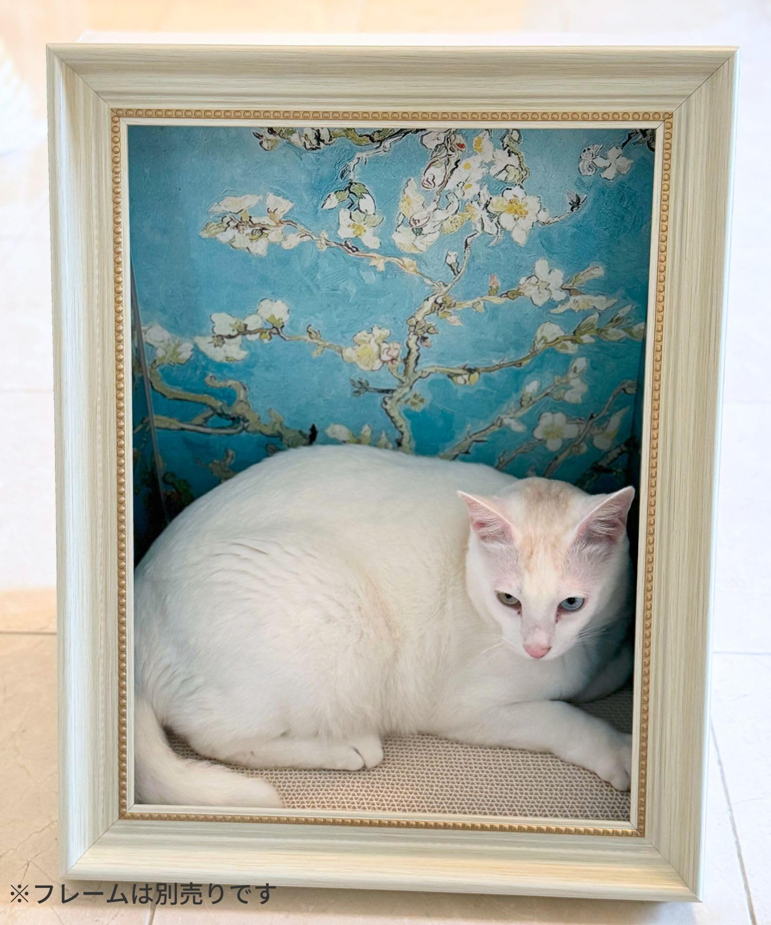 Amazon | [ONEKOSAMA]爪とぎ ダンボールハウス 猫 額縁 替えパネル