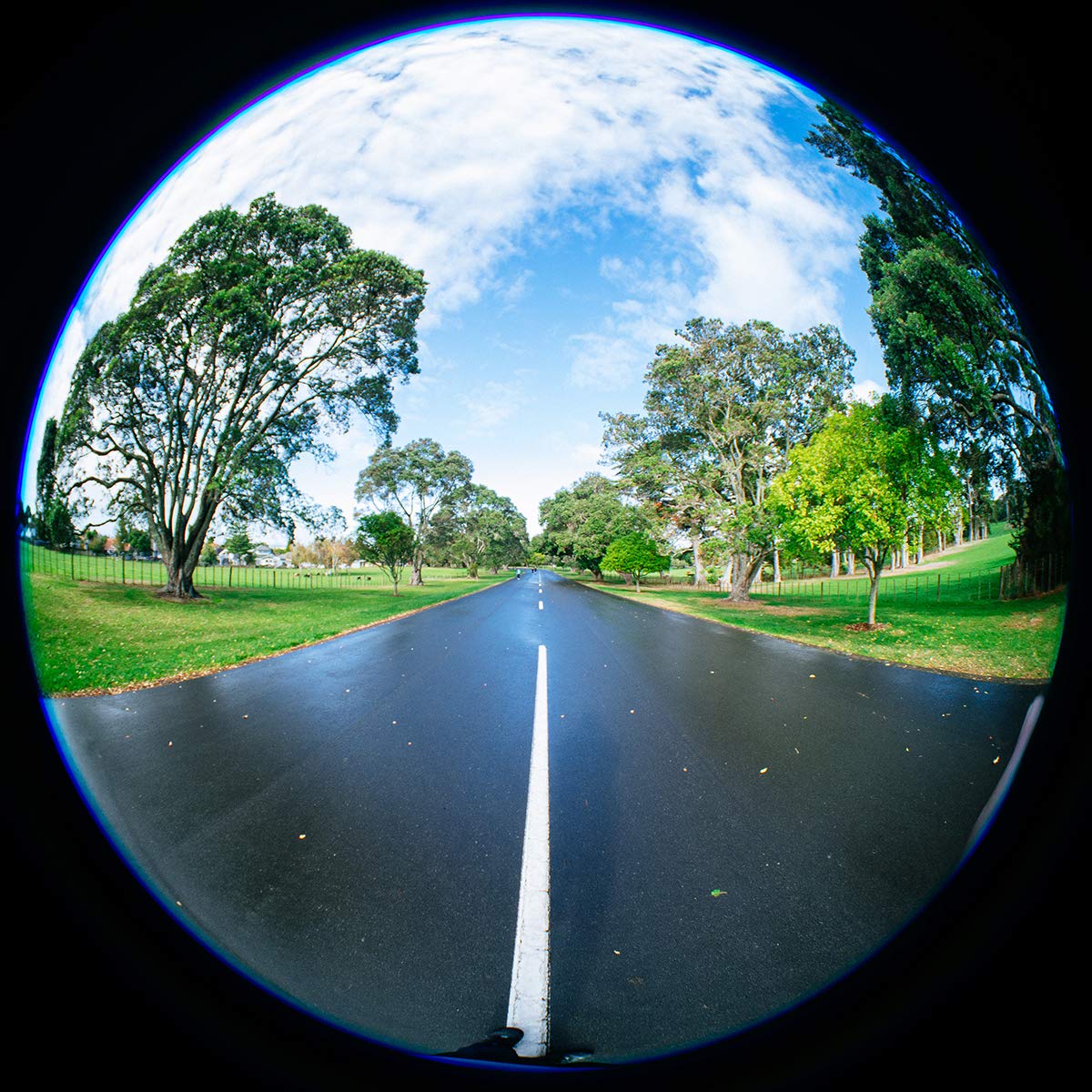 Meike Objectif fisheye circulaire f2.8 de 3,5 mm avec mise au point manuelle 220 degrés compatible avec les appareils photo Olympus Panasonic Lumix M4/3 MFT monture GH4 GH5 GH6 OM-1