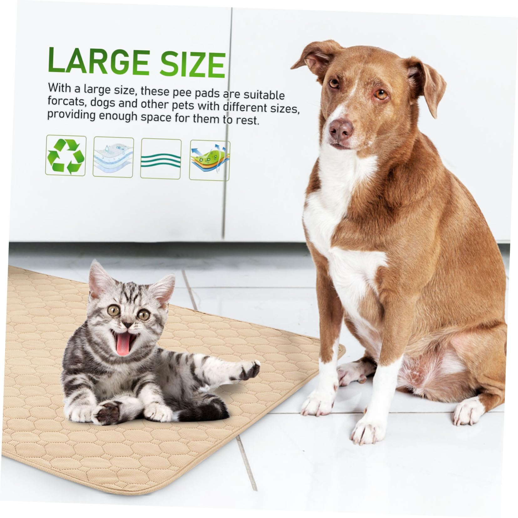 Toddmomy 2 pezzi Tappetini Assorbenti Antiscivolo per Cani e Gatti Lavabili in Lavatrice Protezione per Addestramento e Cuccia Base Antiscivolo per Pavimenti e Superfici