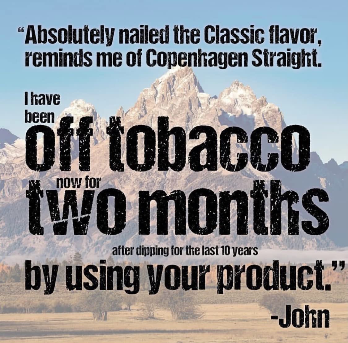 Fully Loaded Chew 5 Pack Tobacco and Nicotine Free Mint Flavored