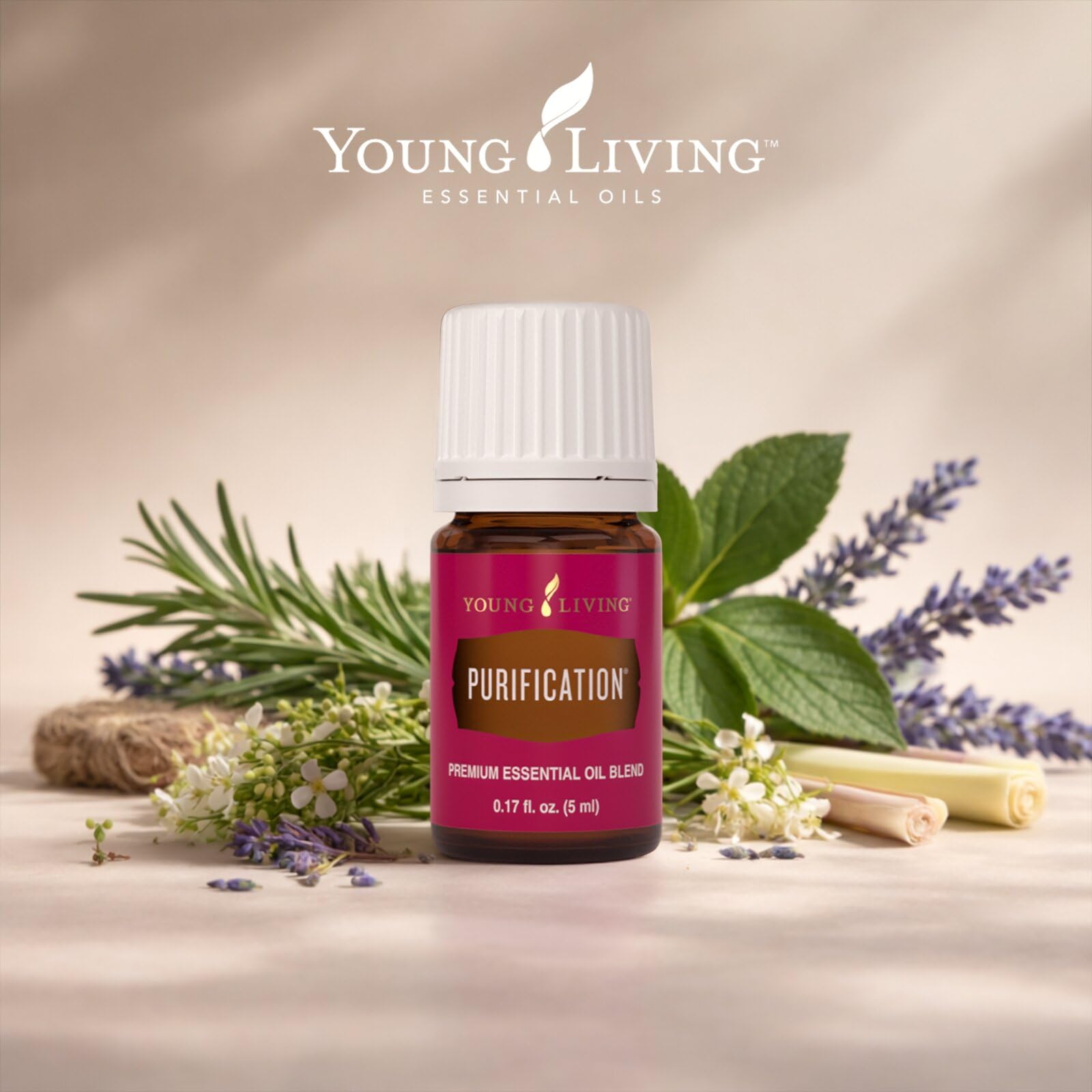 Amazon.com: Young Living Purification Essential Oil, 5ml