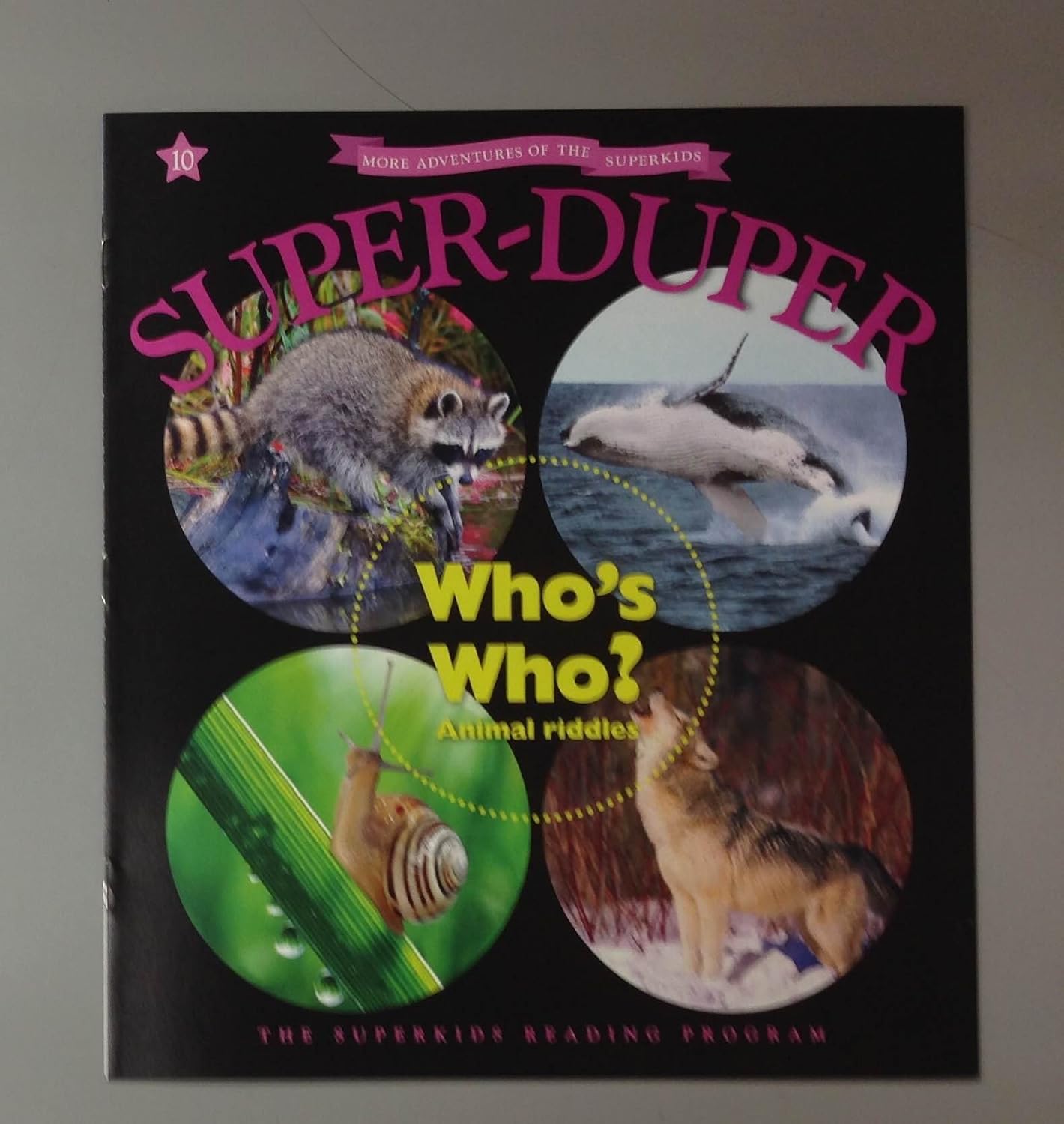The Superkids Reading Program:More Adventures of the Superkids - SUPER ...
