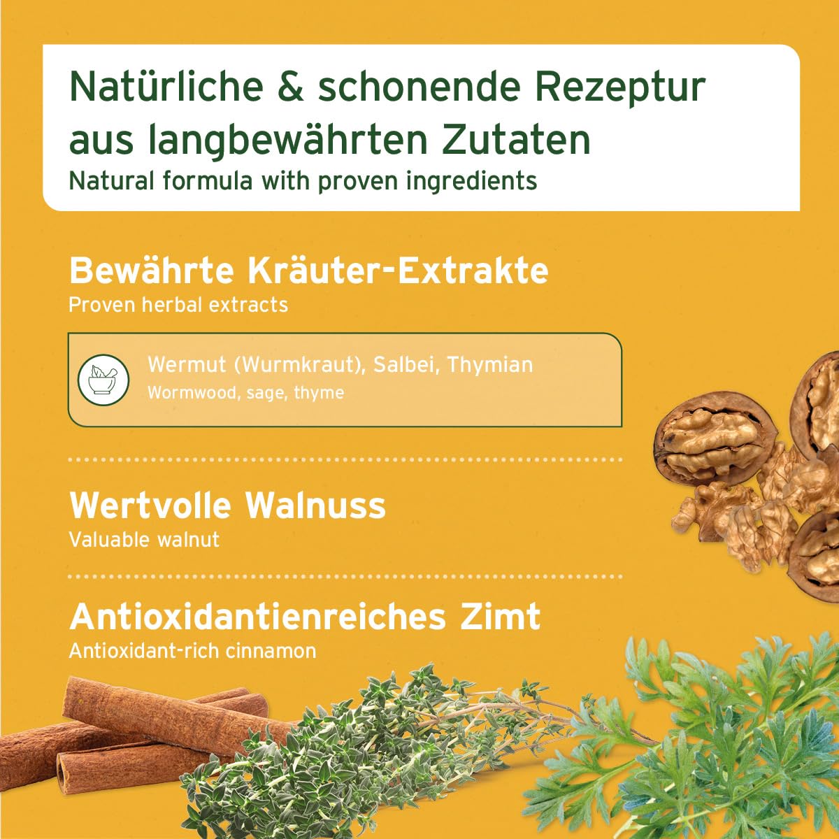 AniForte Wurm Kraut W-Liquid Gotas líquidas - alternativa natural para perros, gatos, mascotas, apoya y armoniza el estómago después de las infestaciones de gusanos, fabricado en Alemania, 50 ml