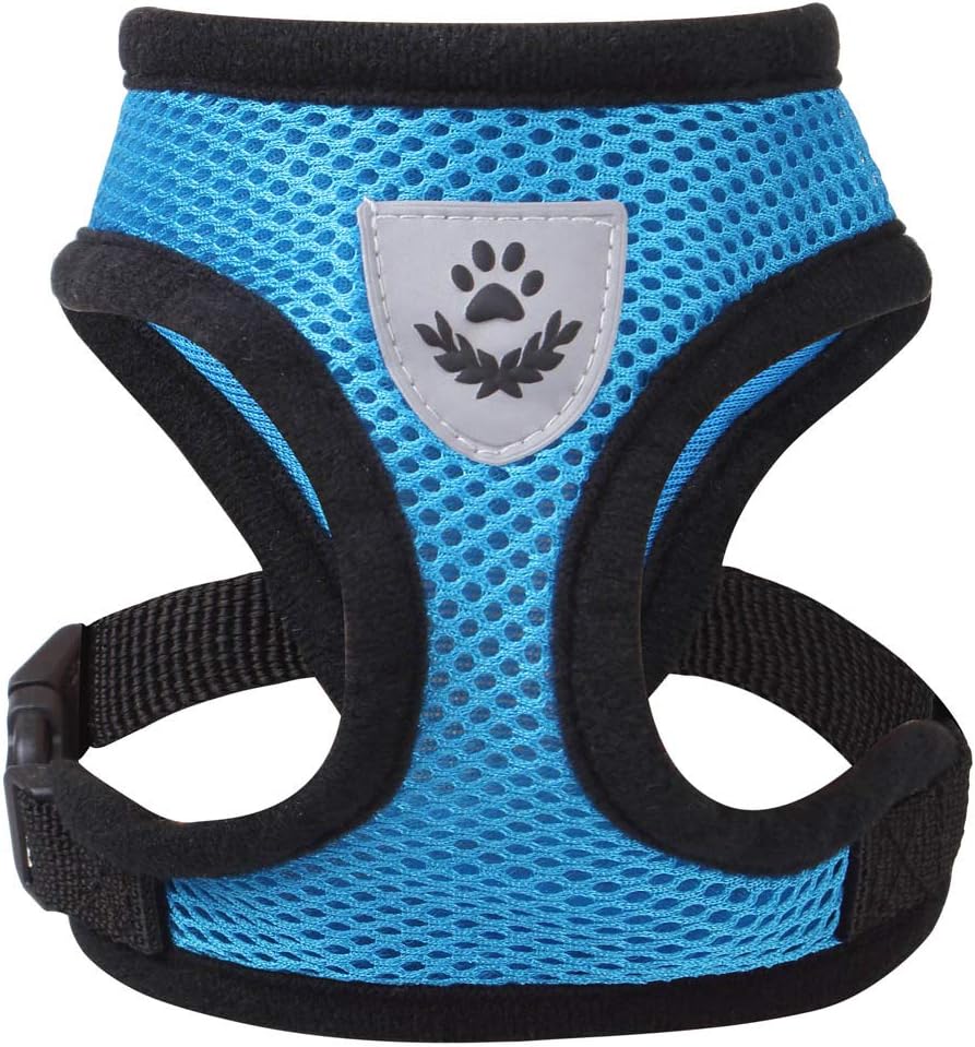 Meeyou Little Pet Adjustable Mesh Harness with Leash(M,Blue)