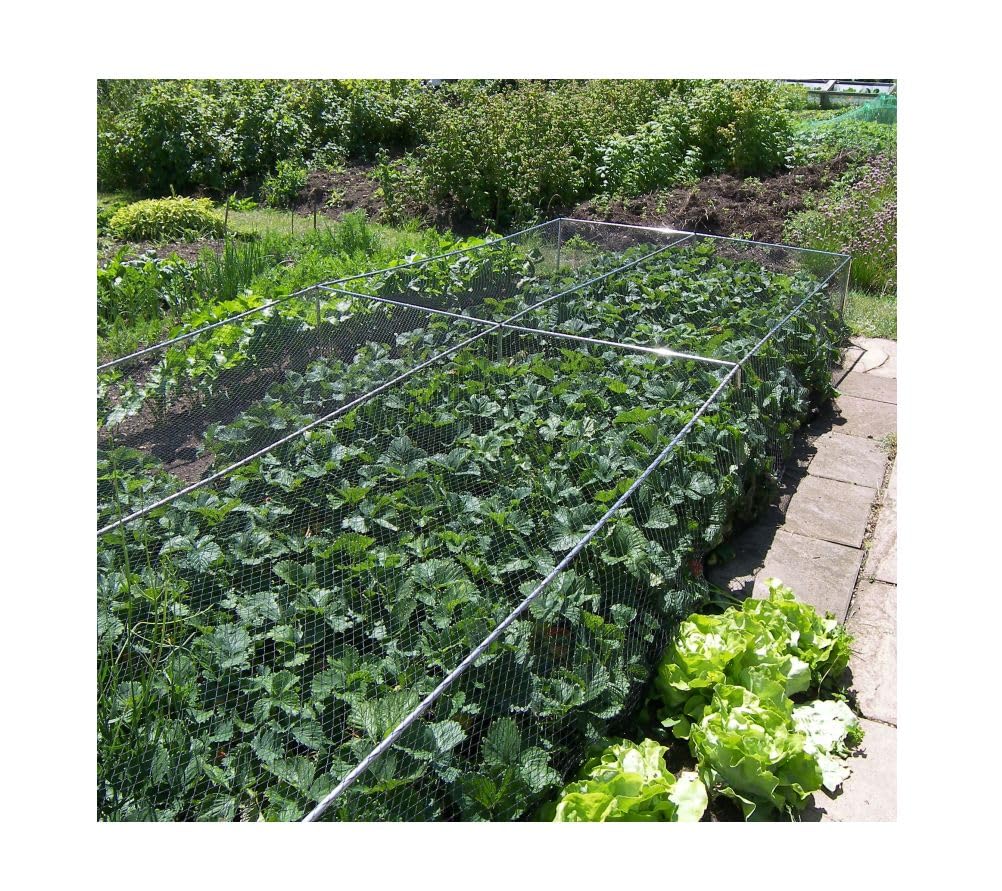 Gardening Naturally Gardening-Naturally (500Mm X 1.5M X 2.4M) Bird Netting - Joiners