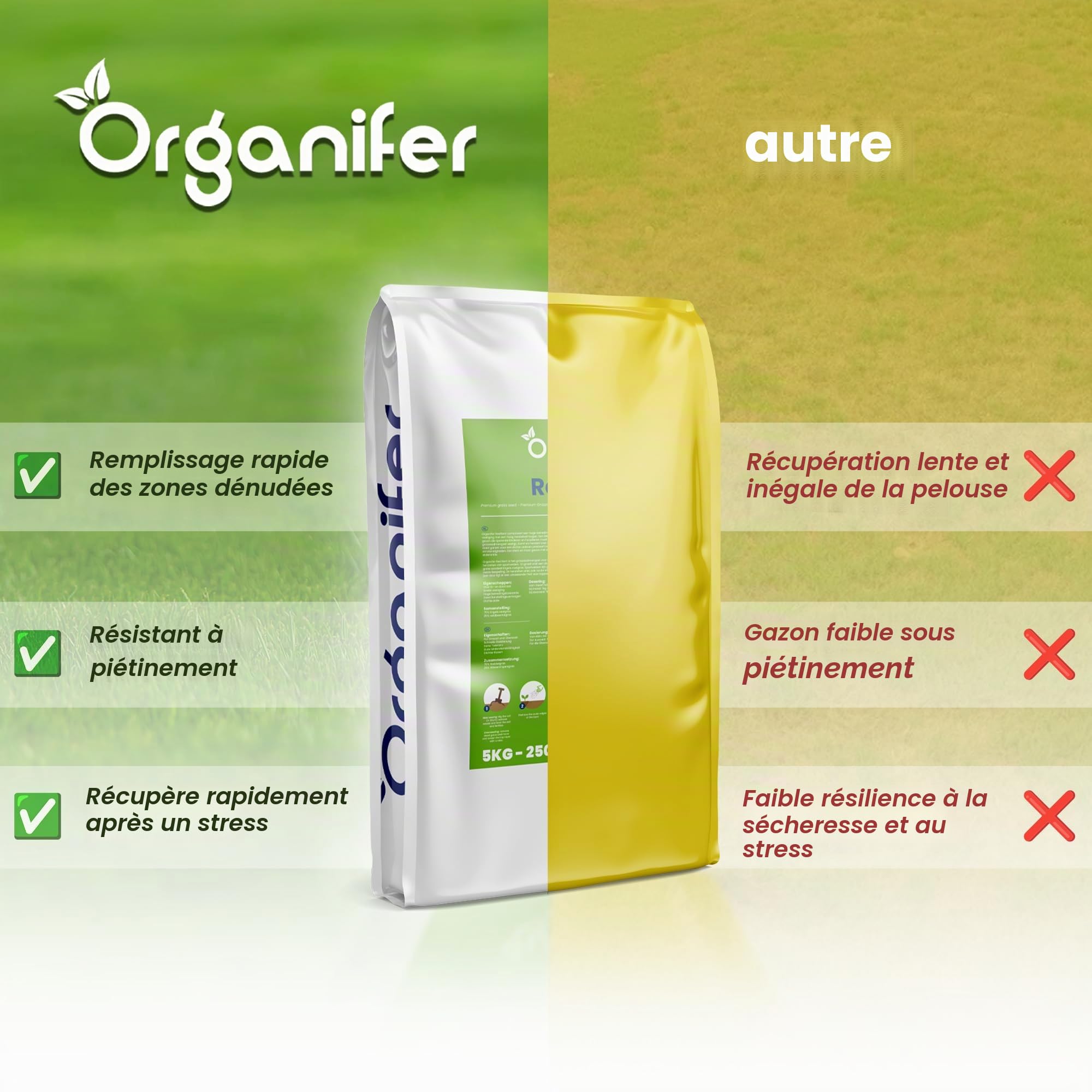 Graines De Gazon Pour La Restauration - Germination Rapide - 5kg = 250m2 | Pelouse - Rénovation - Réensemencement - Certifié NAK - Organifer