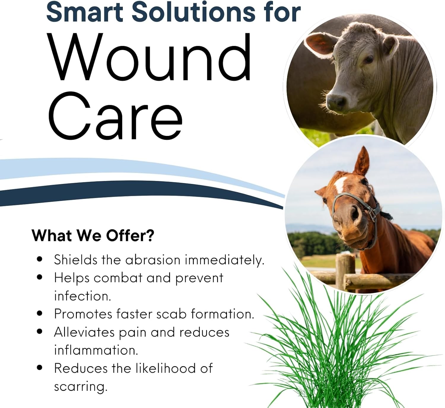Wound Salve - For Horses, Pets, Livestock & People - Calendula, Shields Abrasions, Stops Infections, Promotes Scabbing, Reduces Inflammation & Scarring, Vet-Approved - Bev's Magic Salve (12 oz)