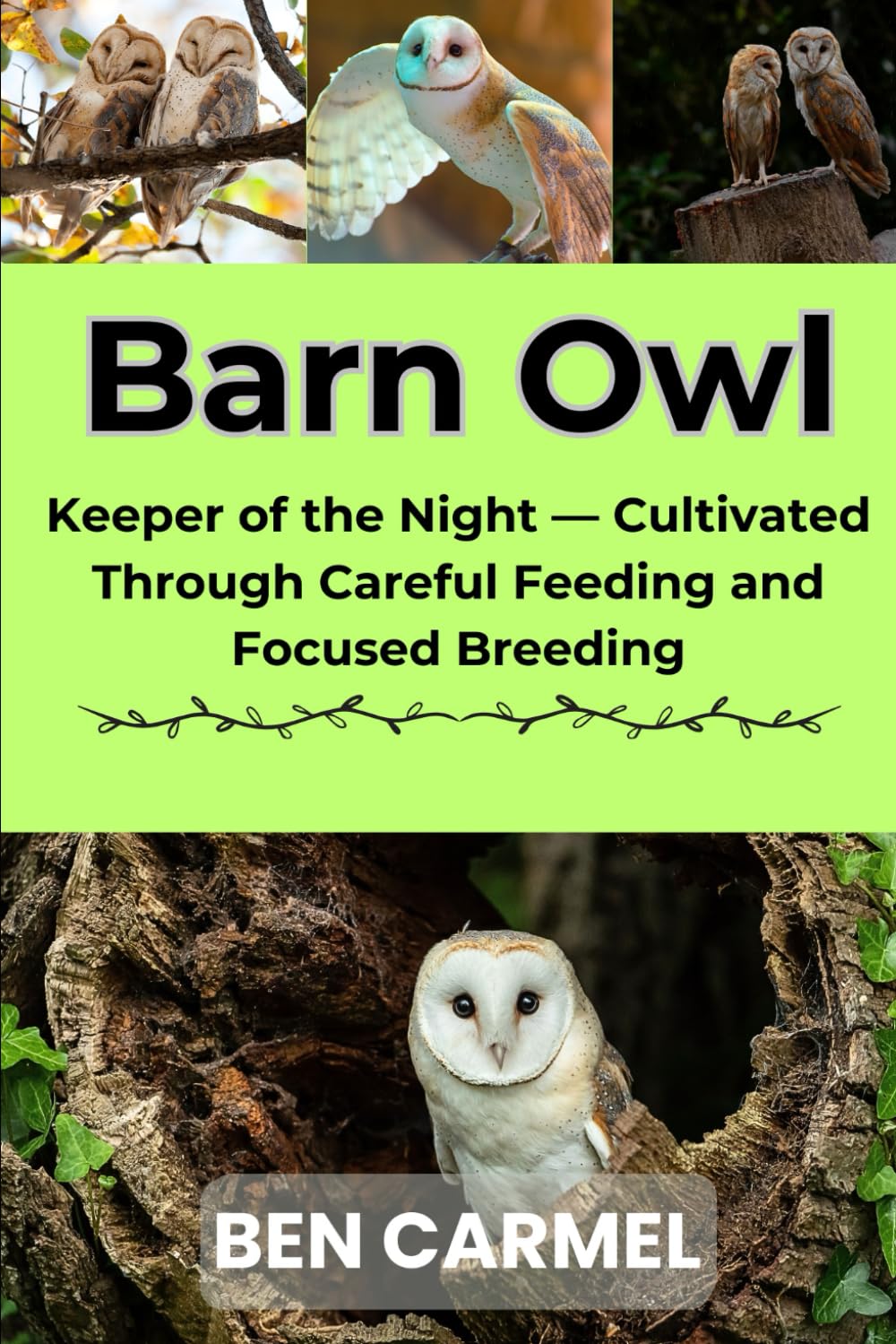 BARN OWL: Keeper of the Night — Cultivated Through Careful Feeding and Focused Breeding