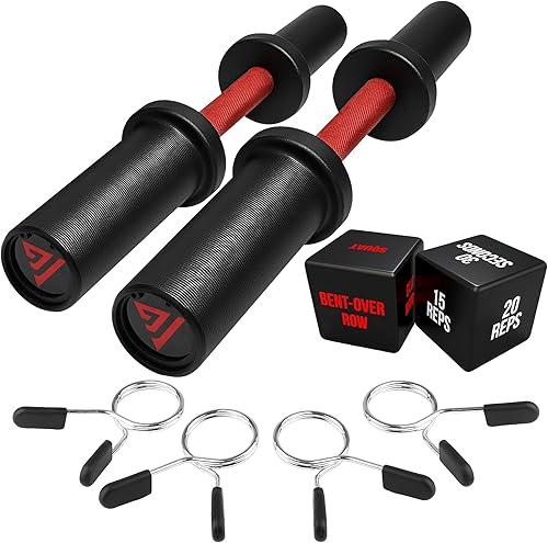 Miniatura 8 de 16" Olympic Dumbbell Handle, Loadable Dumbbells for 2-inch Olympic Weight Plates, Dumbbell Bar for Home Gym Strength Training, 2 Pair of Spring