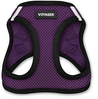 Voyager Step-in Air Dog Harness - All Weather Mesh, Step in Vest Harness for Small and Medium Dogs by Best Pet Supplies