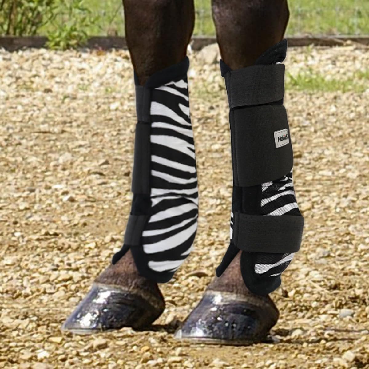 Stinchiere Antimosche Horses Fly Zebra, Set Protezioni da Equitazione per Cavallo, Morbido e Resistente, Massima Protezione da Traumi e Fiaccature (Zebra, full)