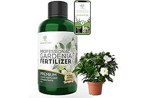 Professional Liquid Gardenia Plant Fertilizer: Nurture Your Gardenia Blooms