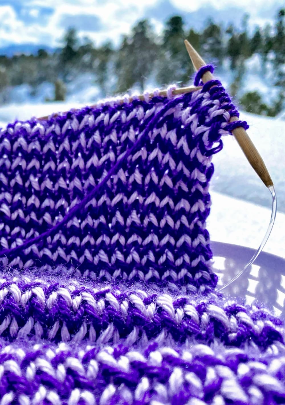 Knitting Journal: Winter Wonderland