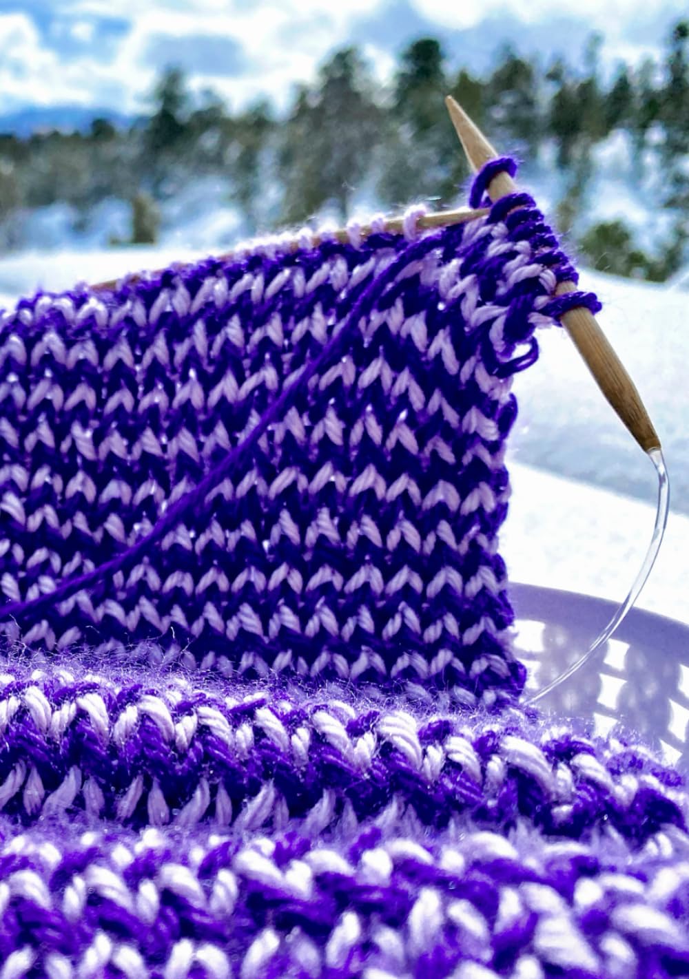 Knitting Journal: Winter Wonderland