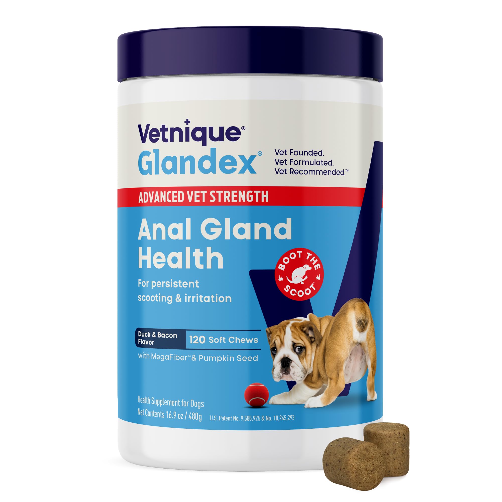 Can Food Cause Anal Gland Issues in Dogs? Discover How