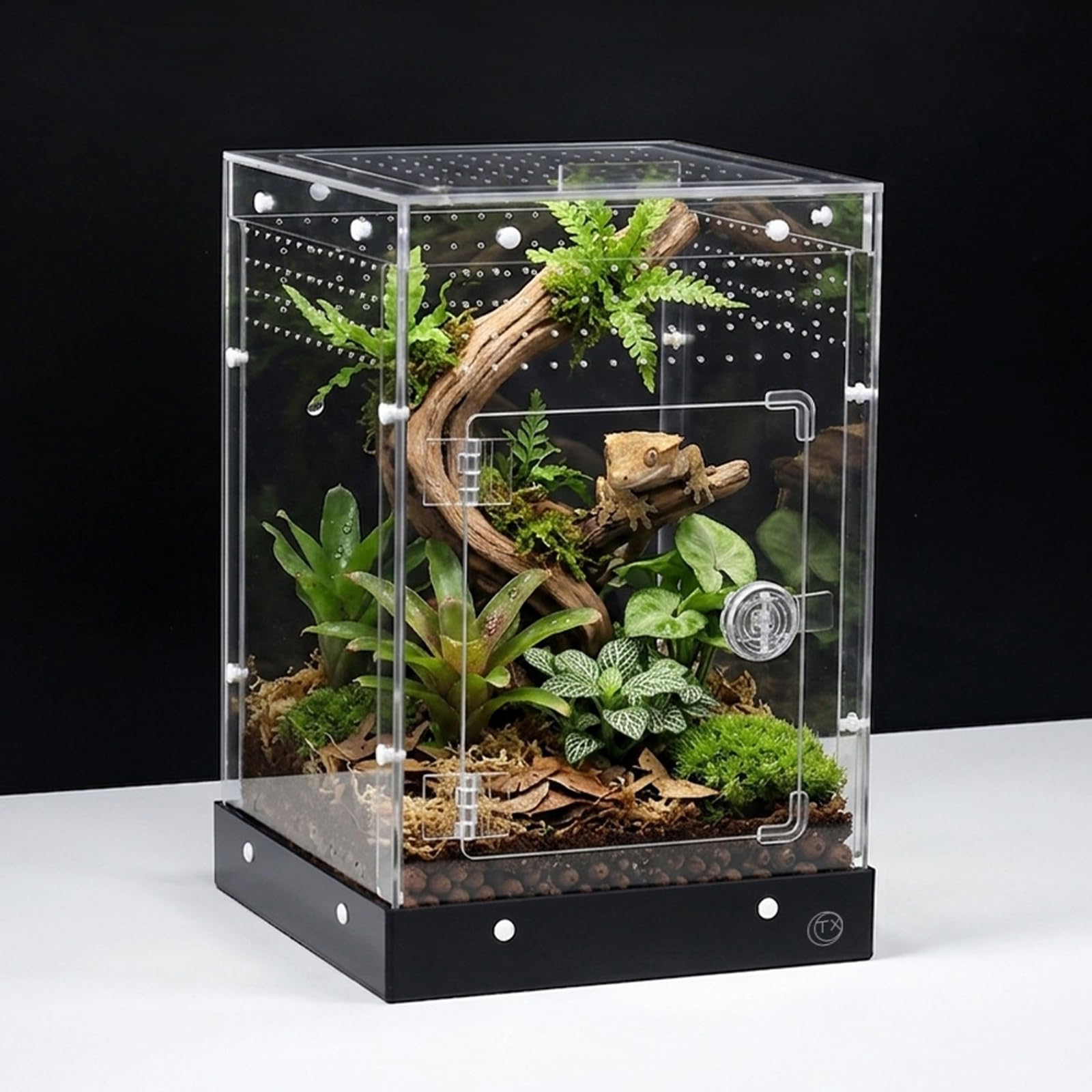 Rettili Terrari Habitat Contenitore Contenitore per Mantidi e Anfibi Piccoli Animali Vasche Ventilate per Osservazione Animali Domestici Facile Osservazione