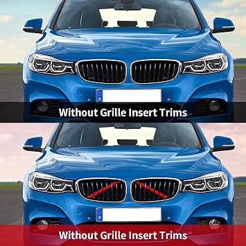 2PCS Grille Insert Trims Stripe for BMW,Front Grille Trim Stripes Cover Compatible with F20 F30 F21 F22 F23 F31 F32 F33 F34 F36 F40 F44,Red