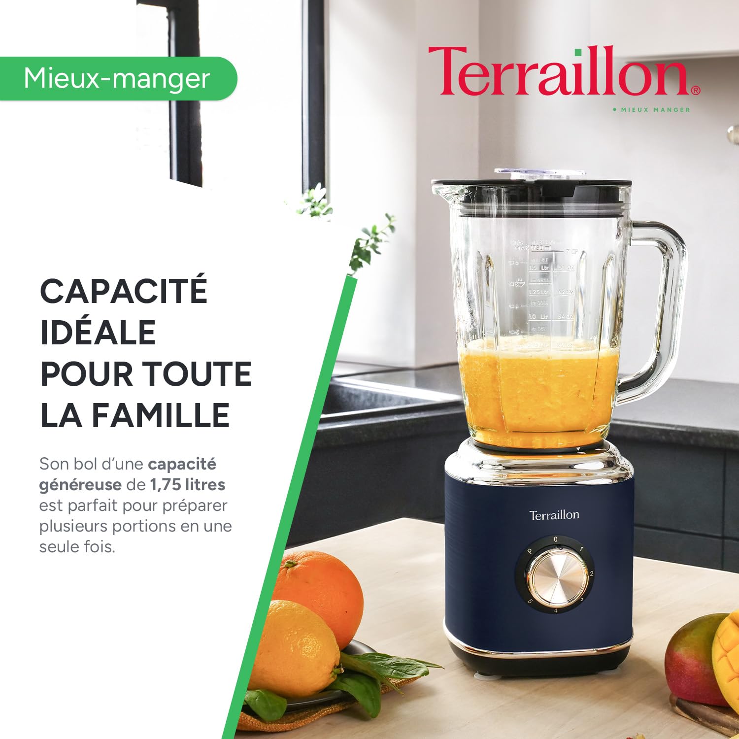 TERRAILLON - NEW MOON- Blender Electrique, Capacité 1.75L, 600W, Bol en verre, 5 vitesses réglables, Fonction Pulse, 4 Lames en Inox, Couvercle anti-débordement, Corps en Inox peint, Bleu