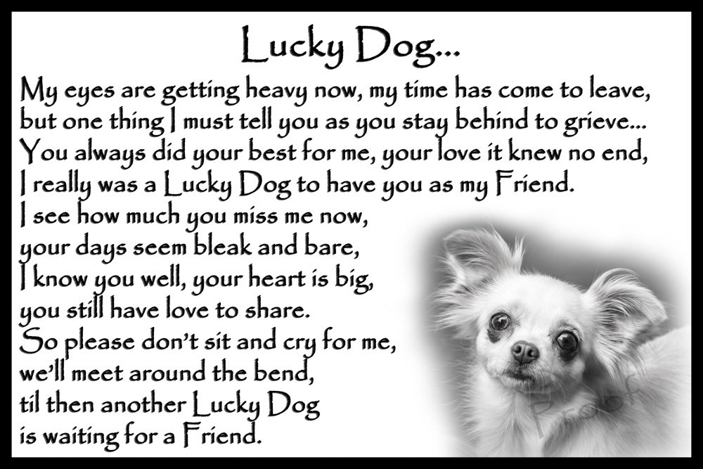 Chihuahua Dog pet Loss Bereavement Gift Flexible Fridge Magnet Memorial - Lucky Dog