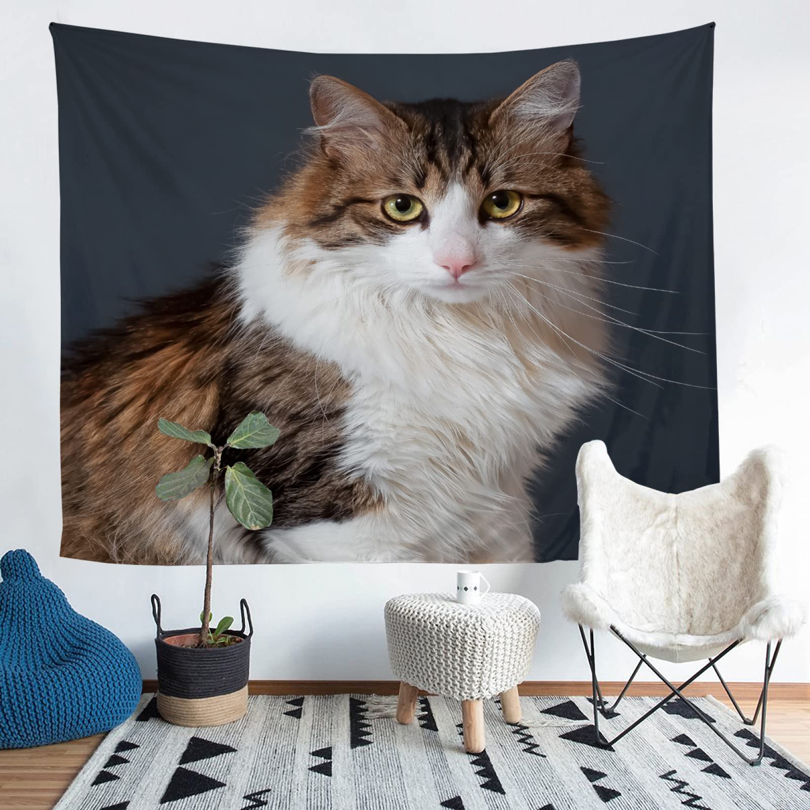 WYXWZ 3D Tapestry Wall Hanging Tapestries Aesthetic, Wall Blanket, Wall Tapestry For Bedroom Living Room Decoration, Animal Cat 51x59 Inches