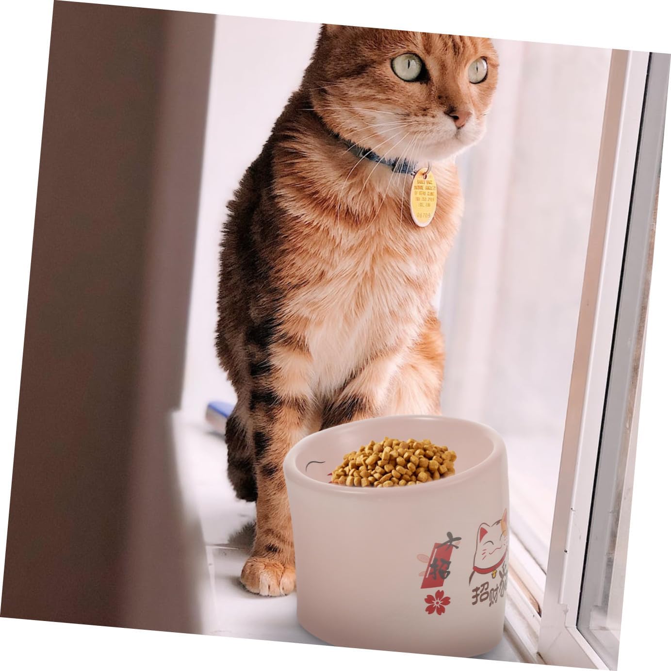 YARNOW 1pc Elevated Cat Food Bowl Non-Spill Design Stable Base Easy to Tilted Cat Dish for Comfortable Eating for and Puppies Ceramic