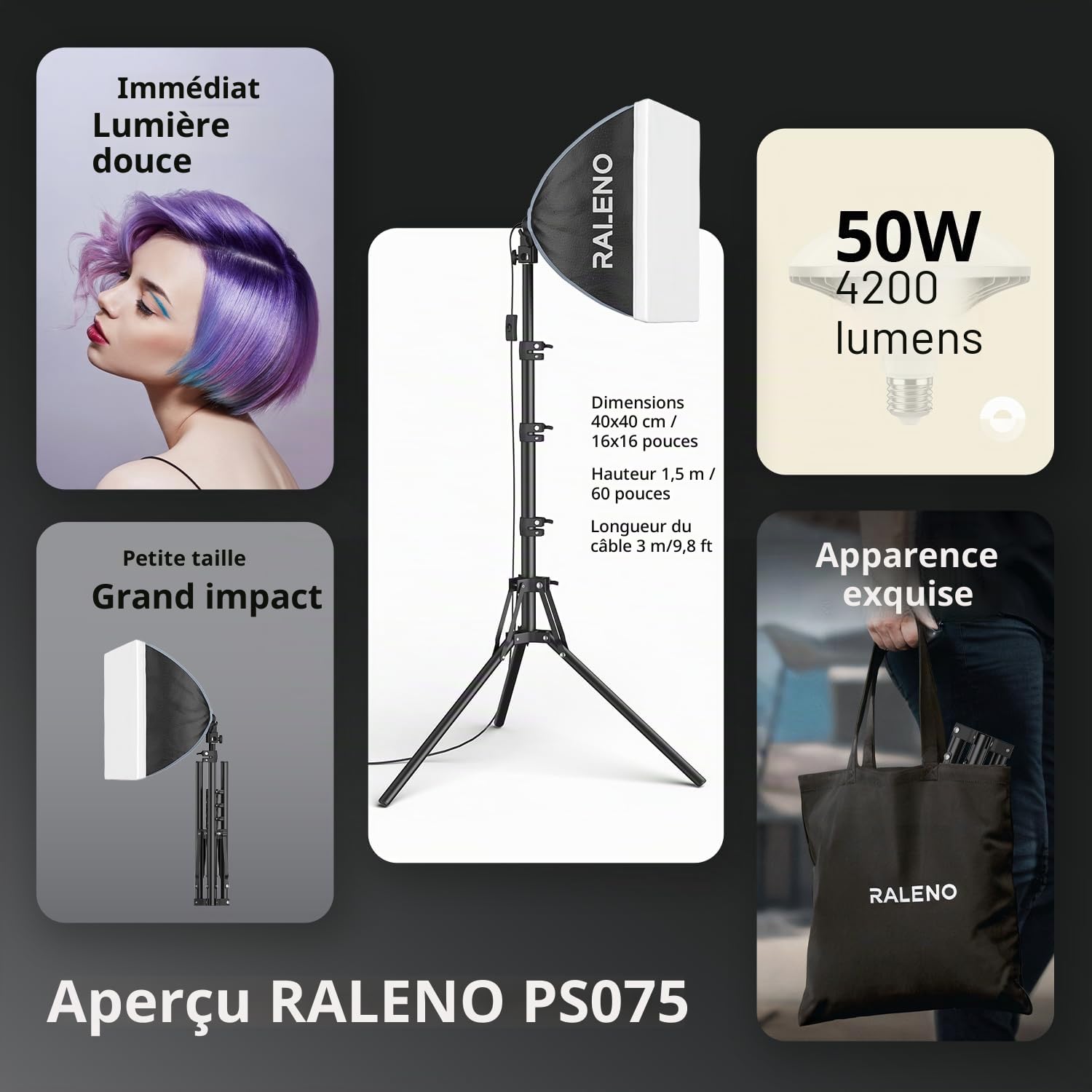 Raleno Softbox pour Studio Photo, Kit d'éclairage de Photographie, Ampoule LED 50W 5500K, avecTrépied Réglable, Éclairage pour la Photographie de Produits et l'enregistrement Vidéo