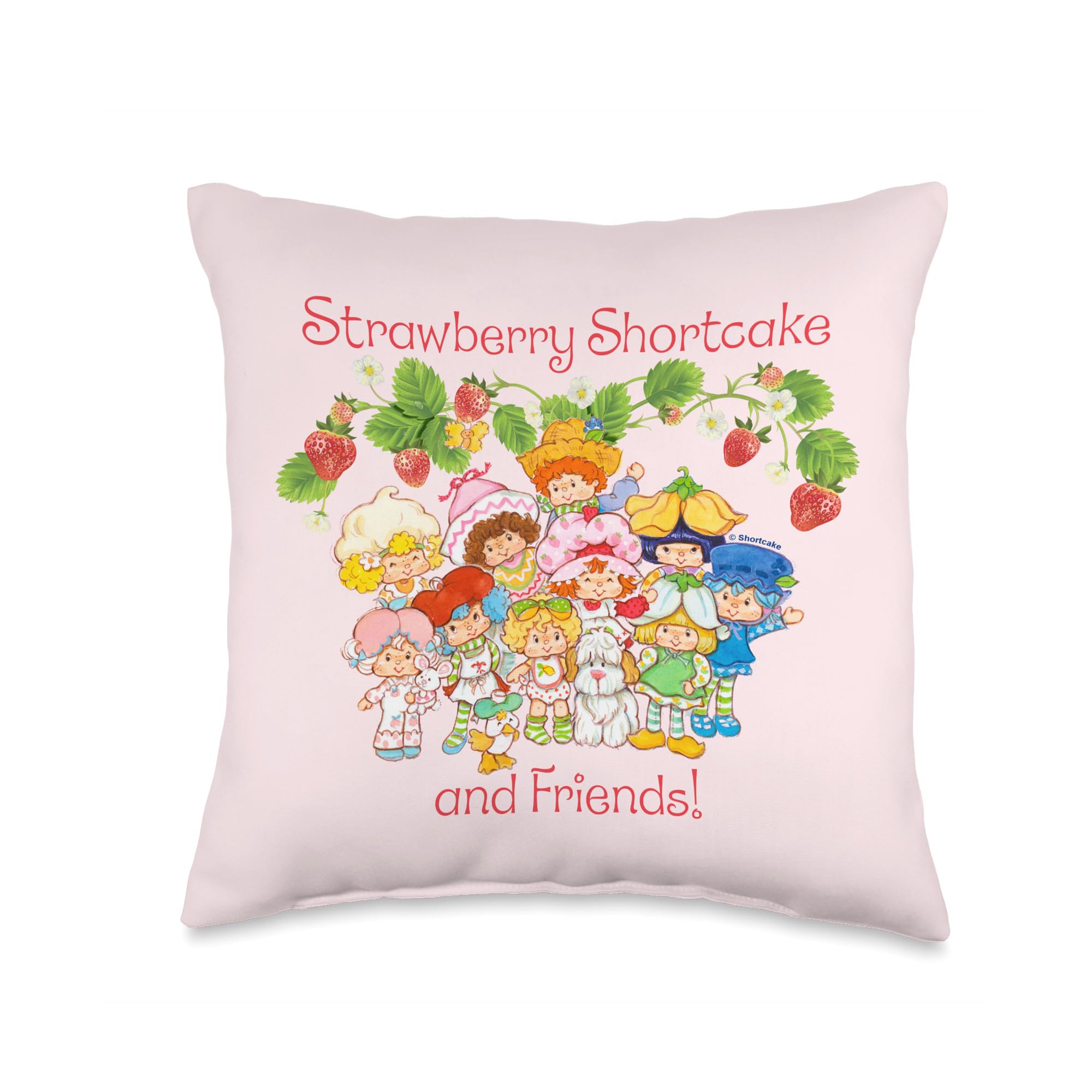 Strawberry Shortcake Friends Vintage Group Shot Throw Pillow