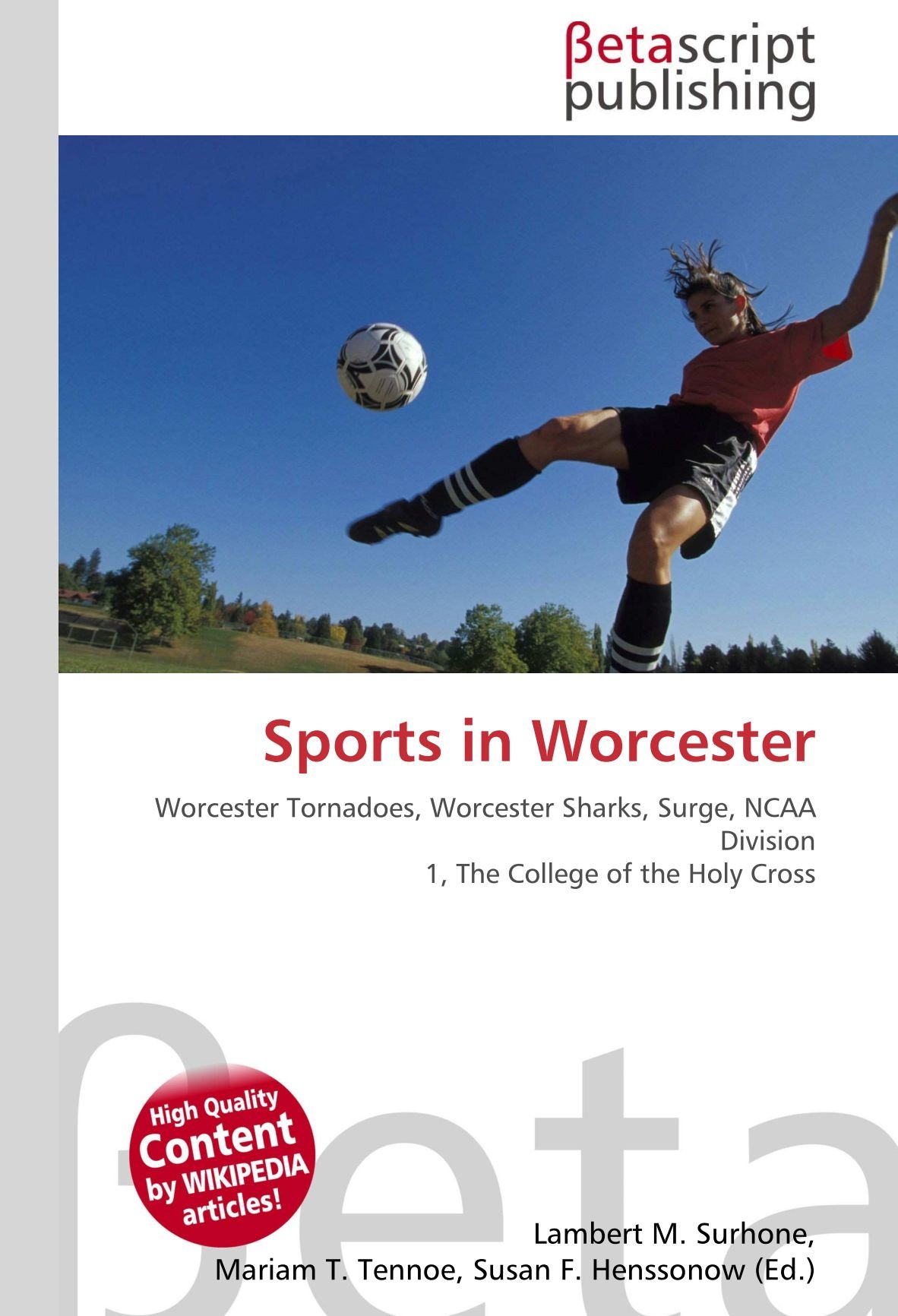 Sports in Worcester: Worcester Tornadoes, Worcester Sharks, Surge, NCAA Division 1, The College of the Holy Cross
