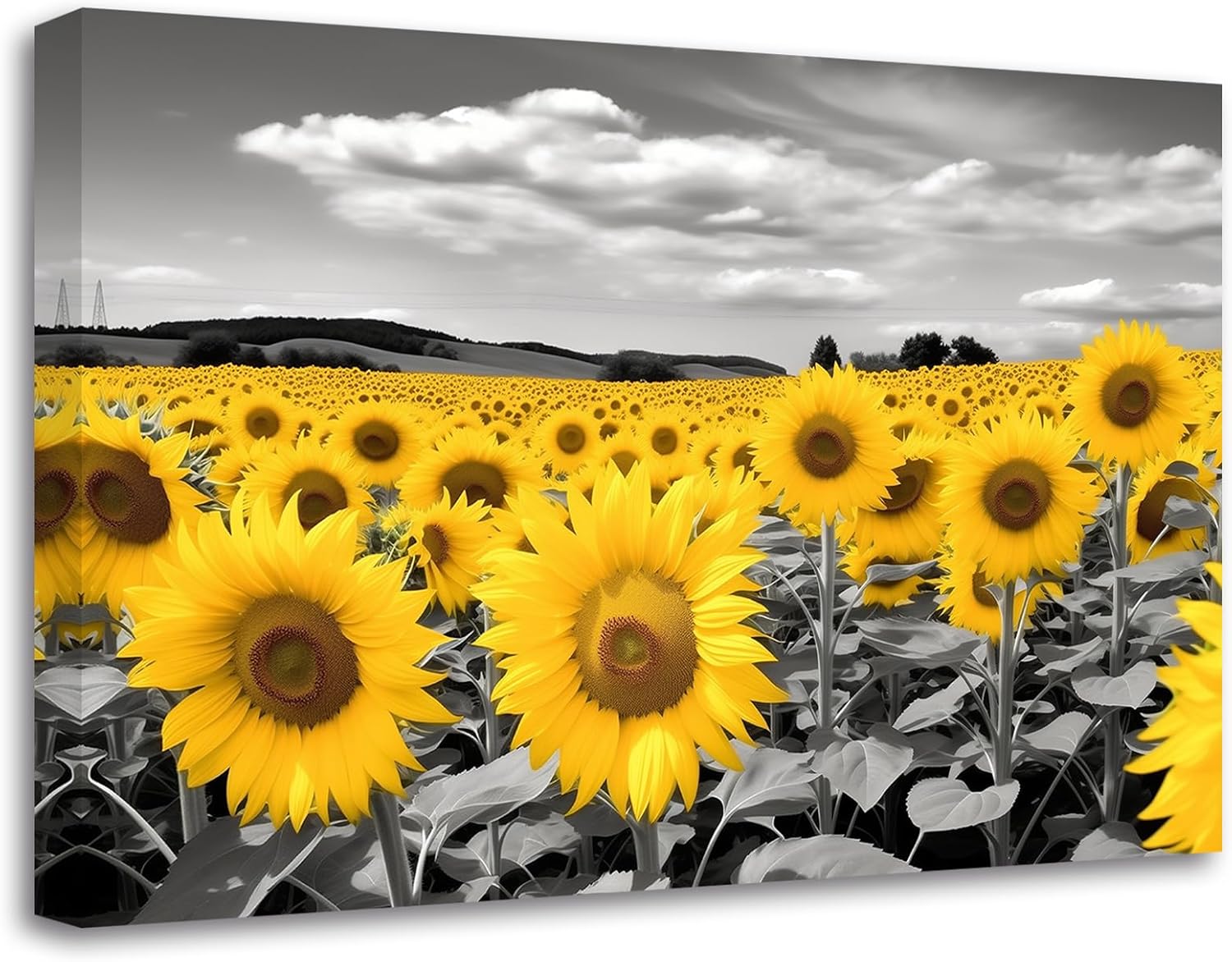 LZIMU Sunflower Canvas Wall Art Sunflower Field Picture Black White Prints Yellow Floral Landscape Paintings Rustic Kitchen Decor(Picture-3, (12.00" x 18.00"))