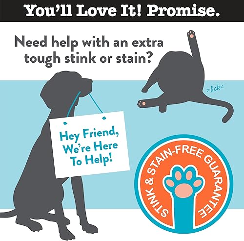 Miniatura 6 de Eliminador de olores de gatos, espray removedor de manchas de gatos para el hogar, elimina la orina de gato, olores, manchas de alfombras,