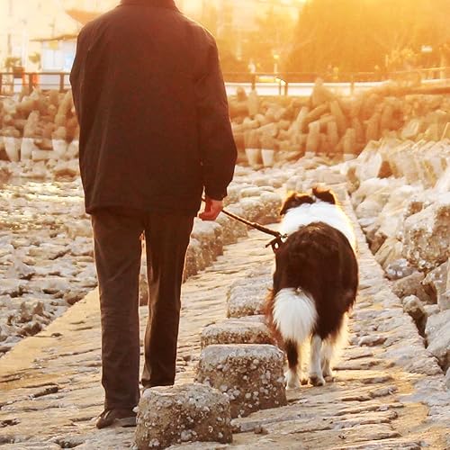 Miniatura 6 de Cable de amarre para perros, cable de amarre resistente de 20 pies para perros grandes de hasta 125 libras, cadena de perro para patio exterior,