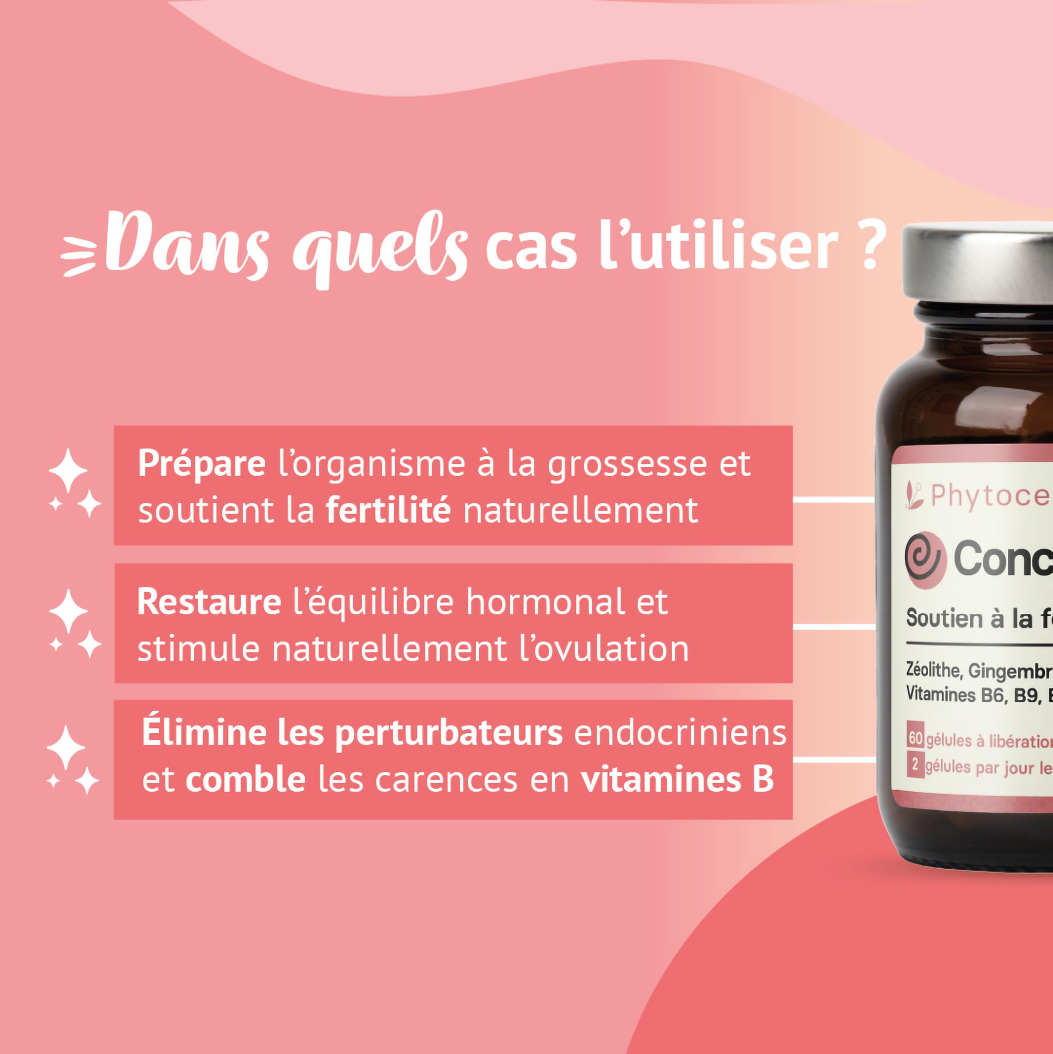 Conception + Complément Fertilité Femme | Détox des Perturbateurs Endocriniens | Glutathion, Curcuma, Antioxydants & Vitamines | Aide à Tomber Enceinte | 60 Gélules