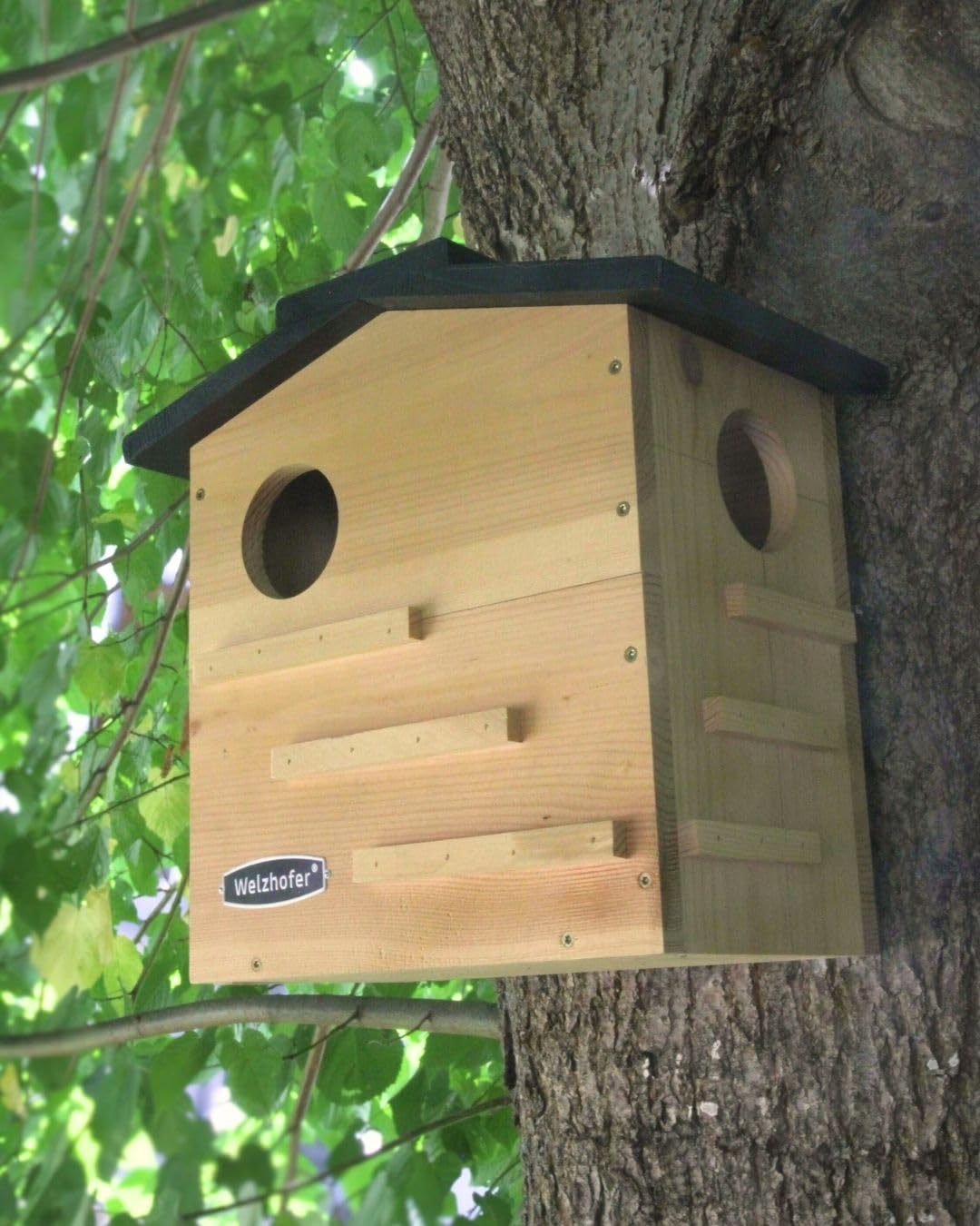 Eichhörnchen-Kobel Carlotta – wetterfestes Eichhörnchenhaus mit 2 EIN-/Ausgängen, Belüftung & Drainage – Nistkasten & Winterquartier zur sicheren Überwinterung im Naturgarten