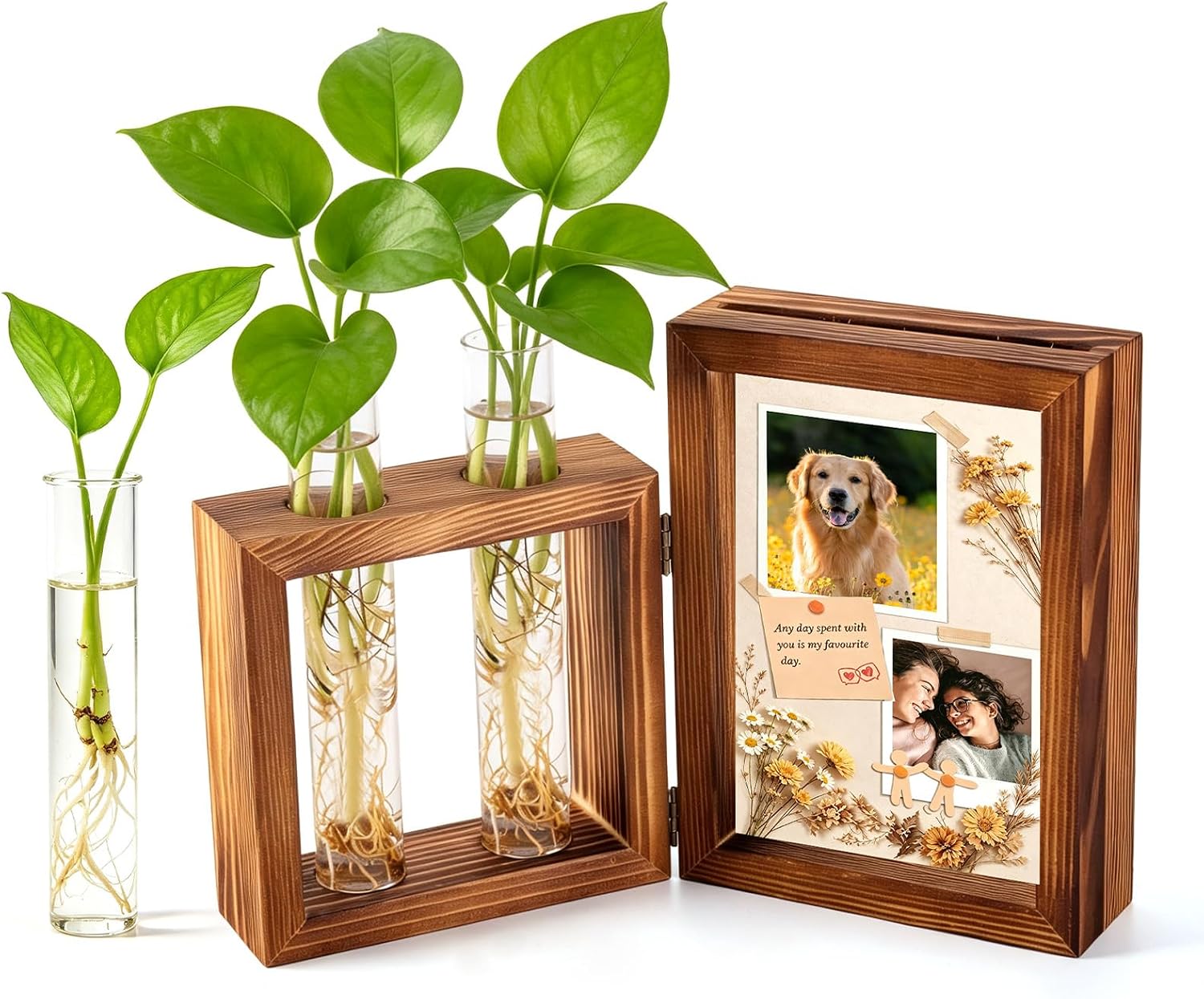 Plant Propagation Station with Wooden Picture Frame, Desktop Home Decor