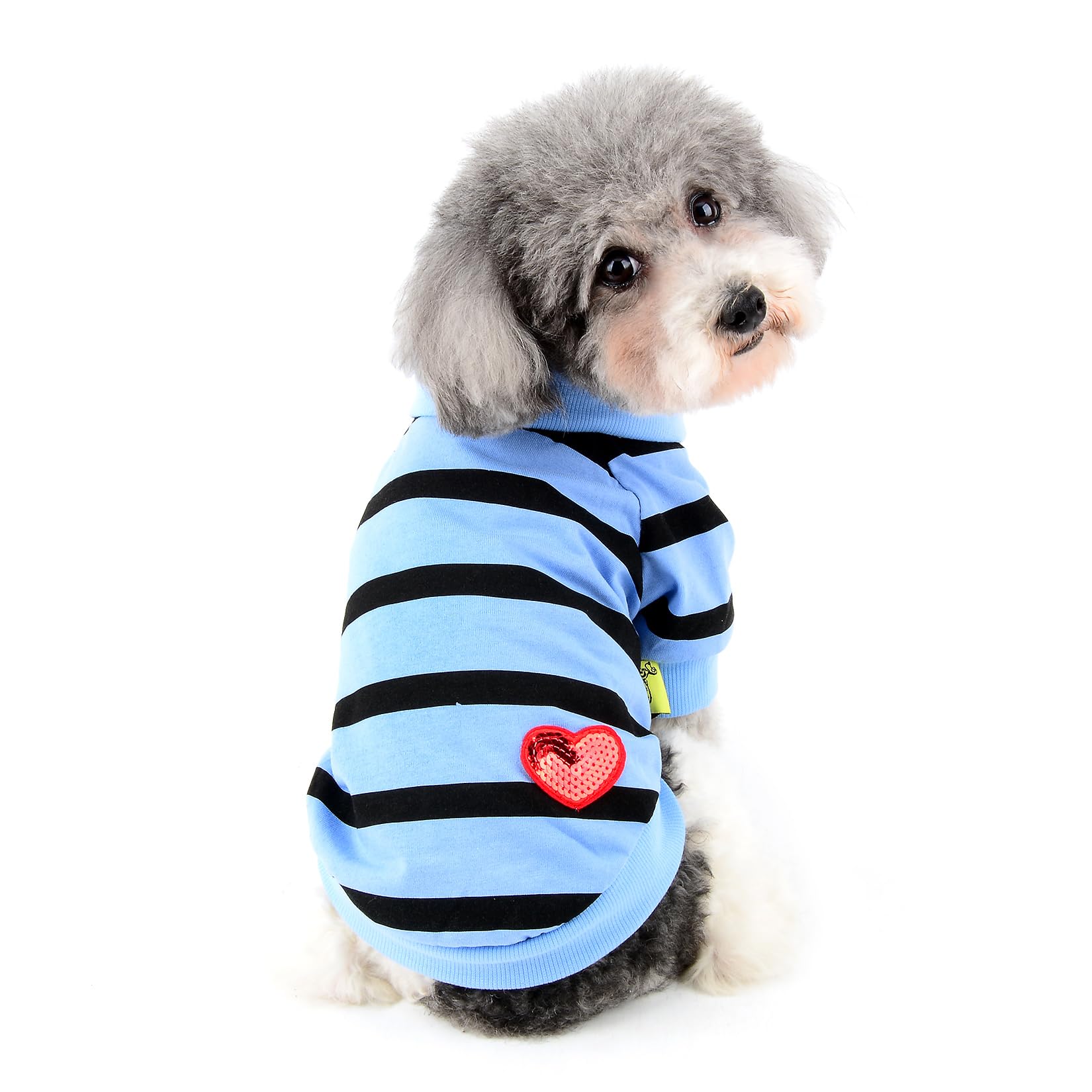 Ranphy Sequin Heart Dog T-Shirt for Small Dogs and Cats, Blue, XS — image 1