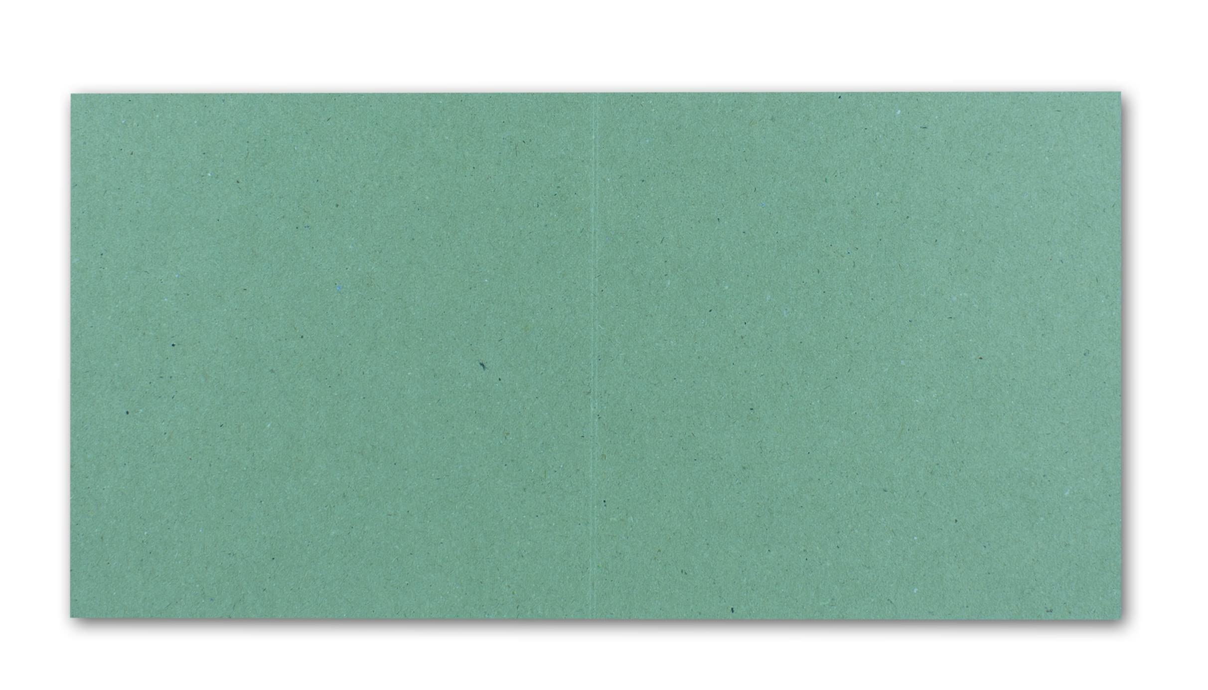 Gustav Neuser Lot de 200 cartes pliables, carrées, en papier kraft, vert eucalyptus, carrées, 150 x 150 mm, 15 x 15 cm, recyclées, 220 g, vierges, durables