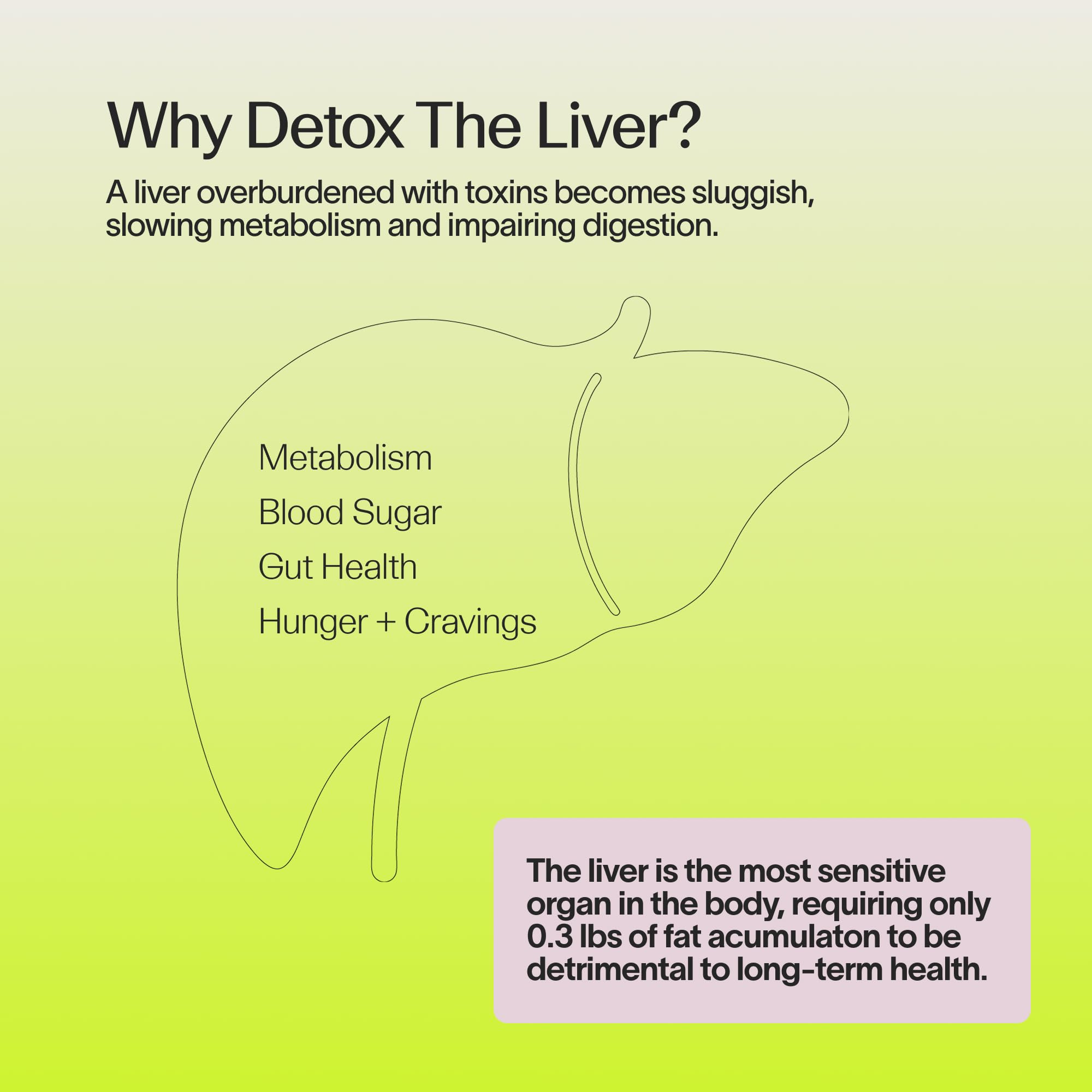 Veracity Metabolism Cleanse - 10 Day Liver Detox, Improves Fat Digestion, Optimizes Metabolism - Helps Regulate Hormones - Toxin Free, Gluten Free, Vegan — Amazon image 3