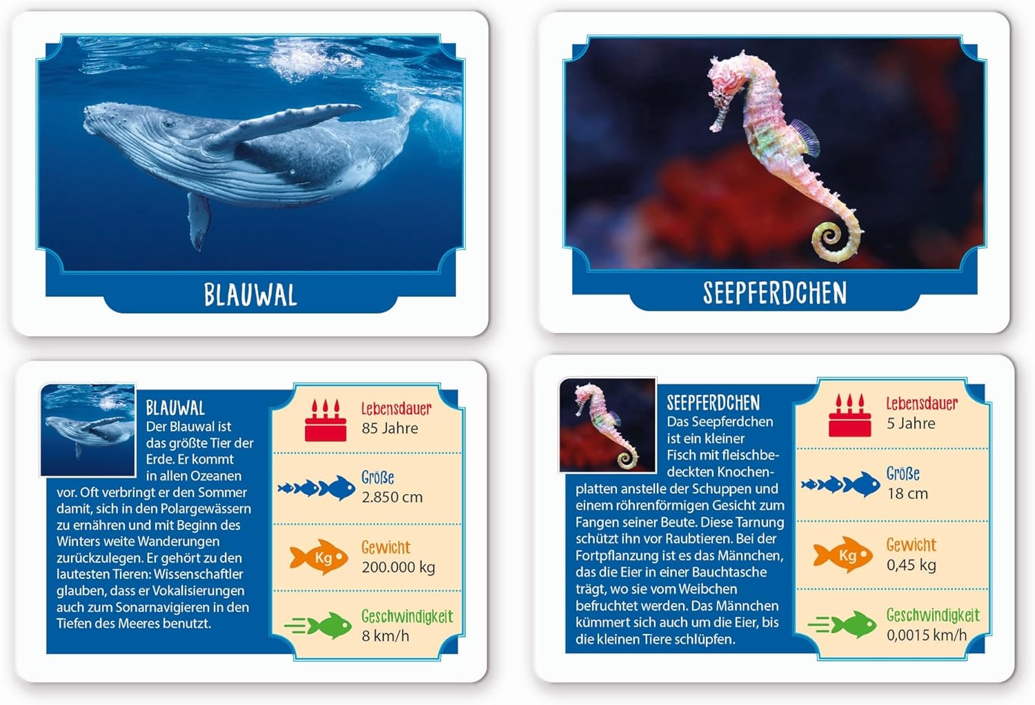 Clementoni Galileo Games Record Suspicious Sea Creatures - Knowledge Cards about Marine Animals - Game for Children from 6 Years 59386