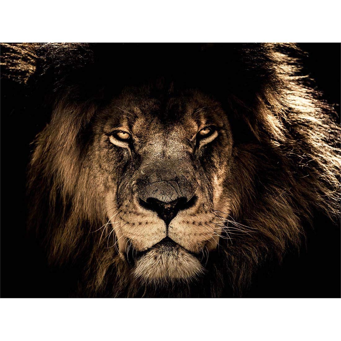 Wee Blue Coo Male African Lion Face Cat Art Print Poster Wall Decor 12X16 Inch