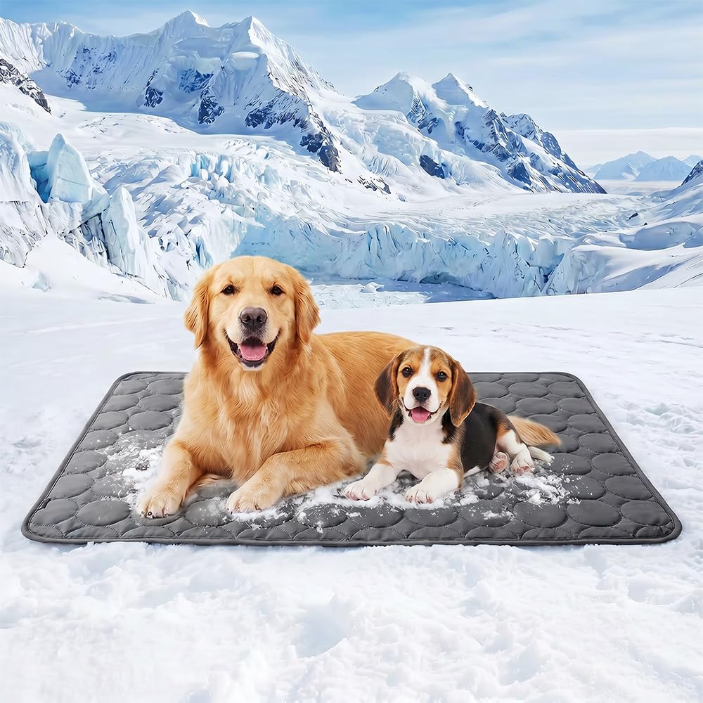 Tapis rafraîchissant pour chien gris foncé idéal pour l'été au salon