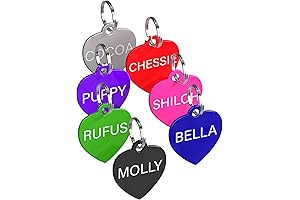 Small Heart-Shaped Pet ID Tags Keep Your Furry Friend Safe