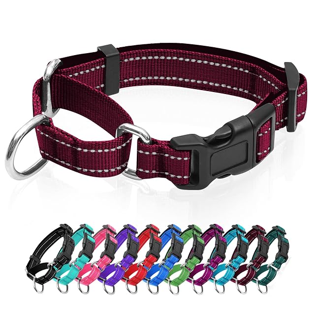 Collar reflectante para perro Martingala. Collar de perro con hebilla de liberación rápida. Collar ajustable…