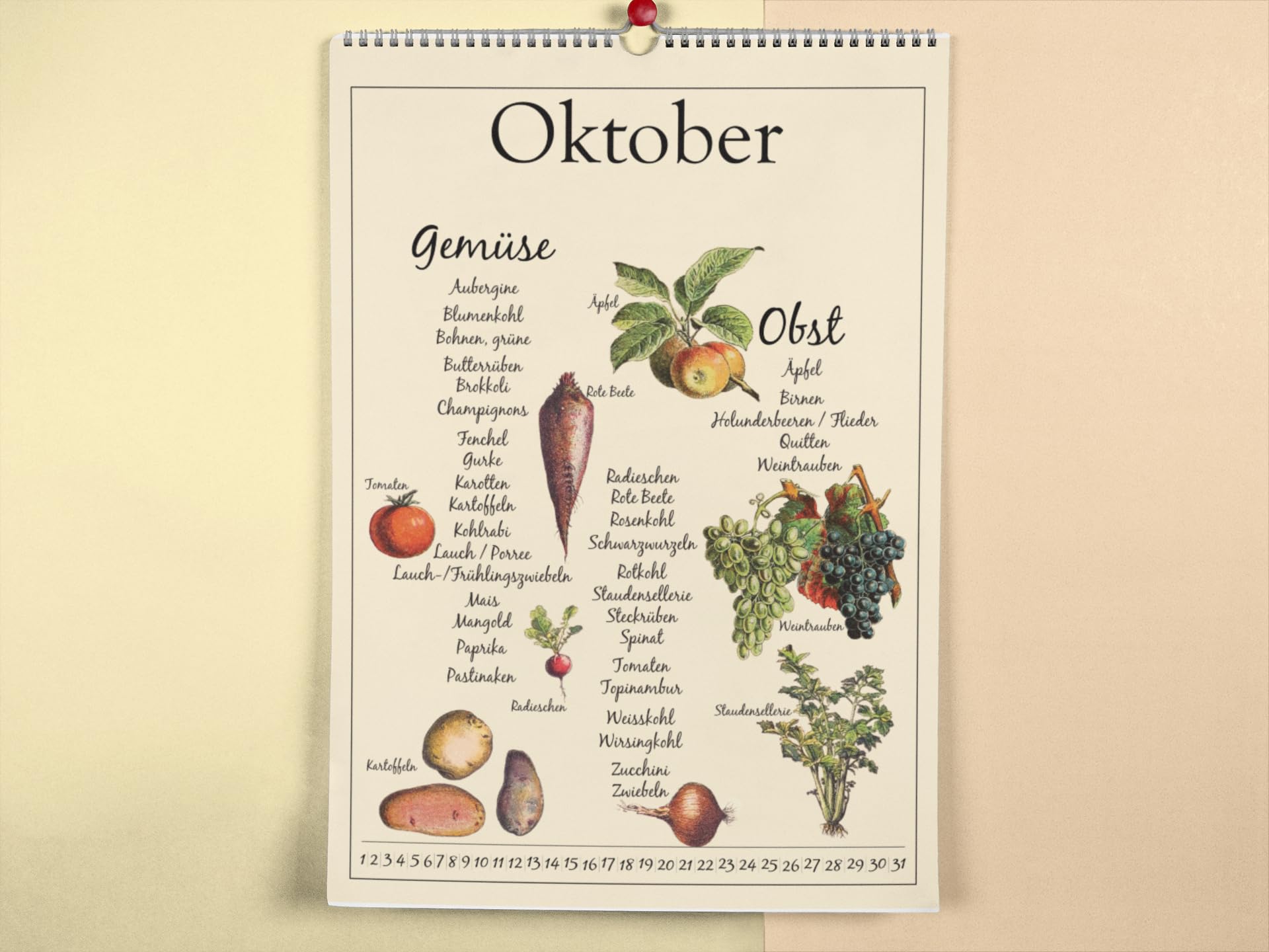 Seizoenskalender voor groenten en fruit - eeuwige zaaikalender
