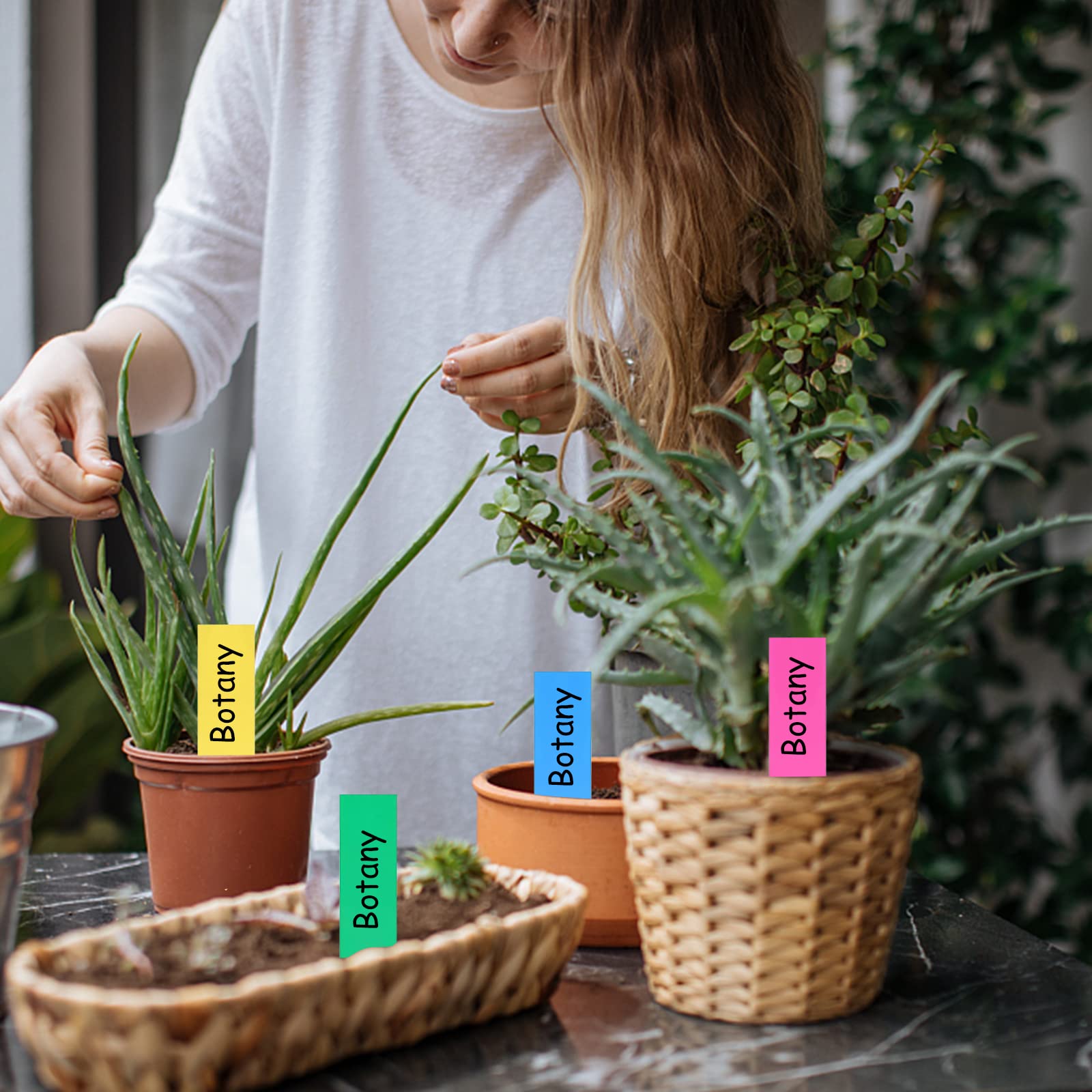 ETICHETTE PIANTE IN Plastica Facile Da Scrivere 2 Colori Etichetta Pali - Foto 3