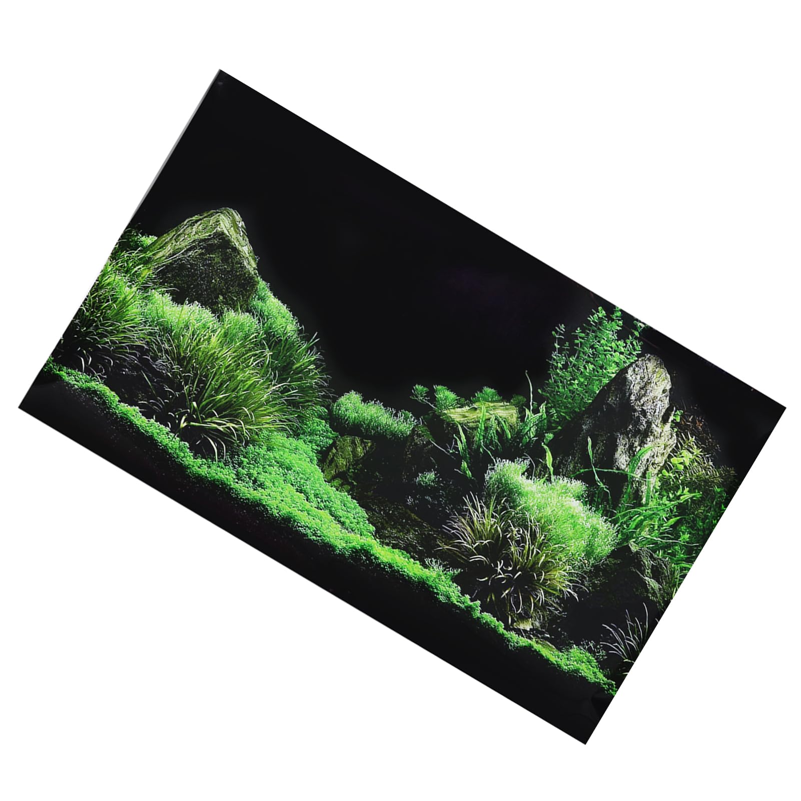 Qcwwy Aquarium Fish Tank Seafloor Water Grass Background Decoration Sticker, Non Reflective PVC, Easy to Use, Waterproof - Image 4